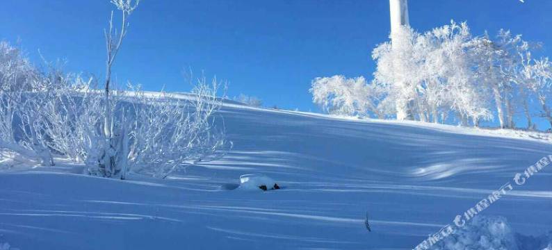 雪乡庆利小栈(二浪河景区店)图片