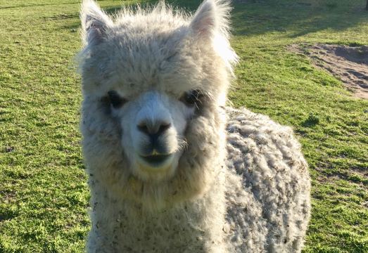 Harmony Bed & BreakfastHotel Overview