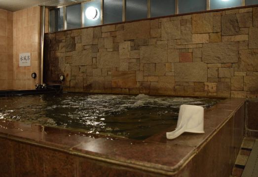 Asakusa Central Hotel Hotel Overview