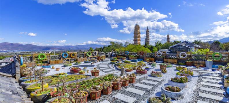 大理古城揖茶会馆主题酒店图片