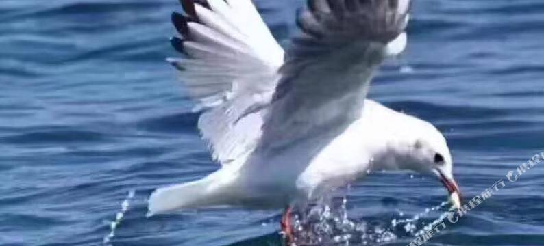 宁蒗汝亨大酒店图片