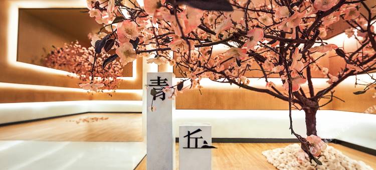 青丘桃林酒店(大连星海广场店)图片