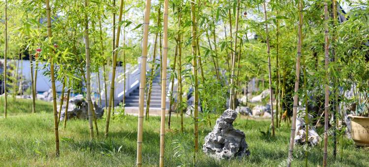 微泮·富春山居茗宿(宜兴张公洞景区店)图片