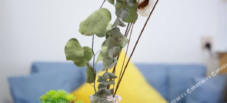 福州乐乐窝北欧轻奢风影院公寓图片