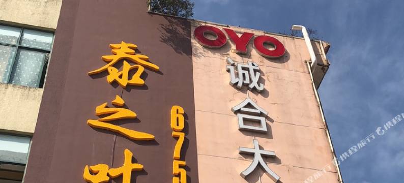 泰顺泰之叶酒店图片