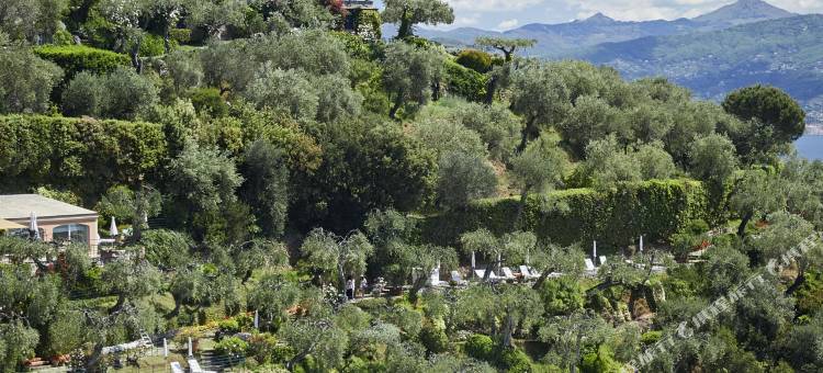贝梦德酒店Splendido, A Belmond Hotel, Portofino(意大利)(Splendido, A Belmond Hotel, Portofino)图片