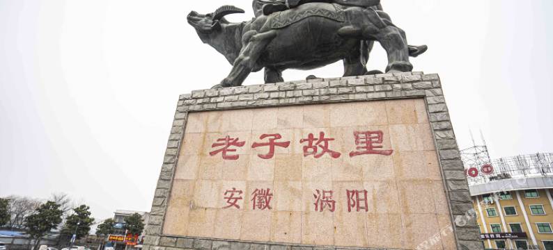 涡阳城市快捷连锁酒店图片