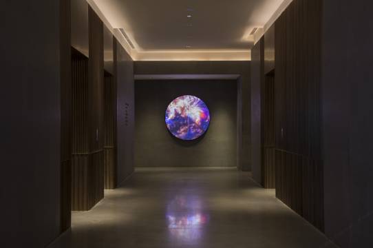 上海素凯泰酒店图片