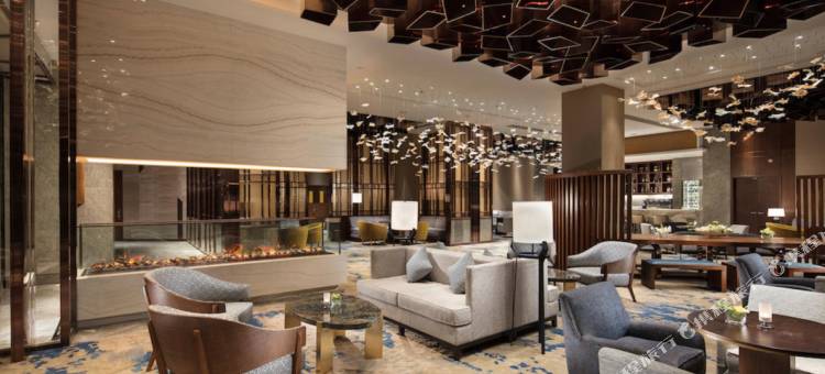 沈阳世茂希尔顿酒店图片