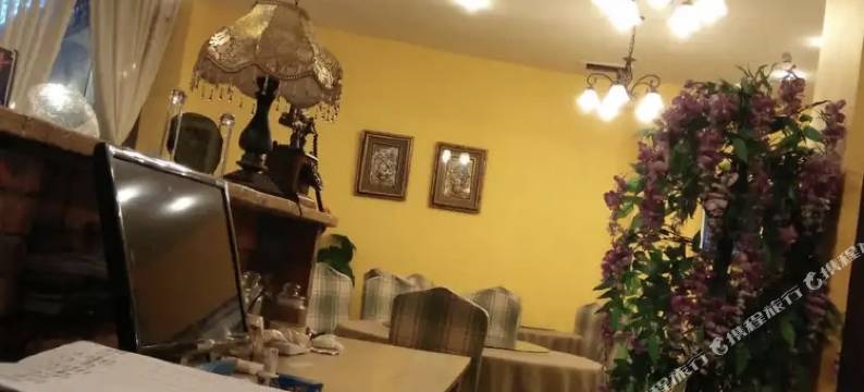 重庆武隆珍珍酒店图片