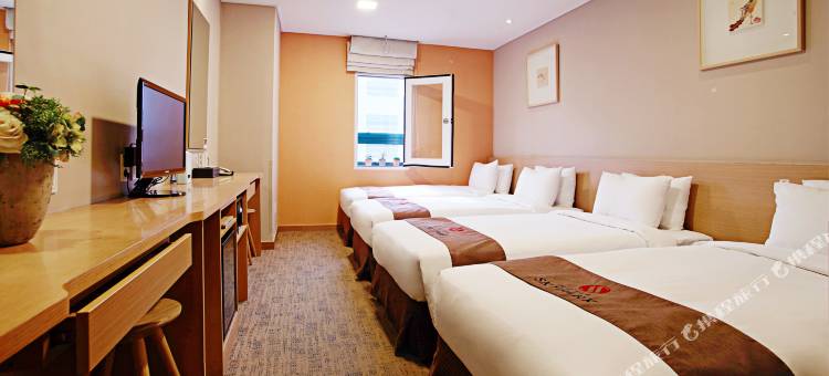 天空花园酒店明洞3号店(Hotel Skypark Myeongdong 3)图片