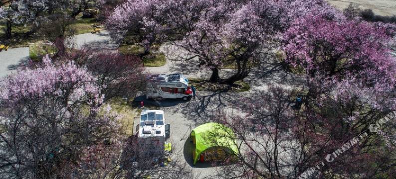 山泽居度假酒店(林芝机场店)图片