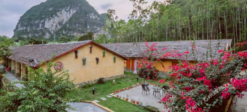 骆越田园假日酒店(大新安平仙河店)图片