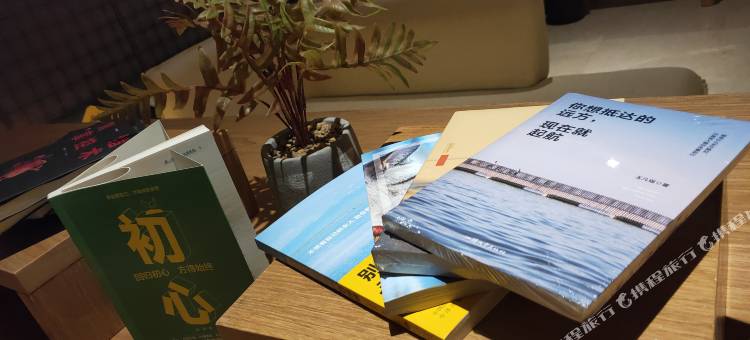 深圳北站兰兹酒店图片