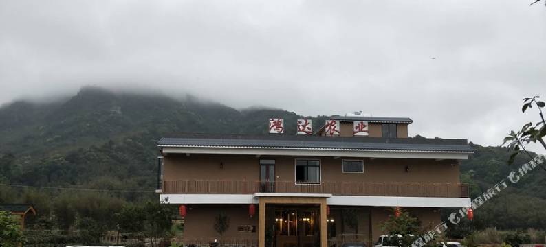 英德大围茶园民宿图片