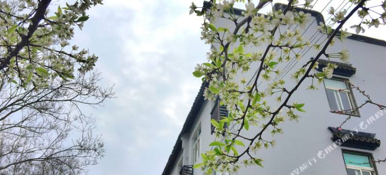 乌镇桃园客栈图片