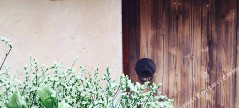 莫干山莫梵Marvel(洋家乐)图片