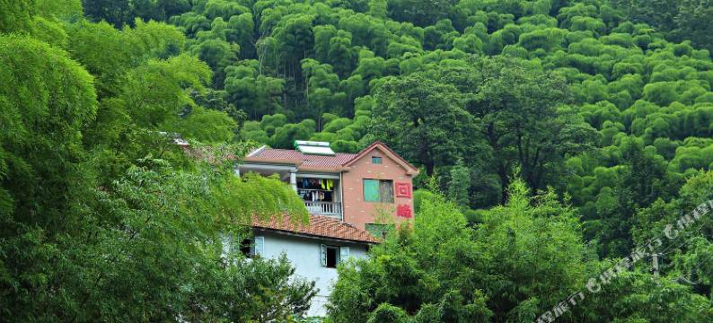 安吉回峰岭农家乐图片