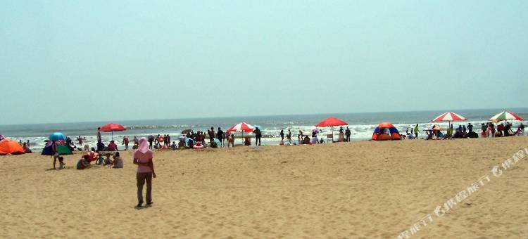 日照新金旺渔家图片