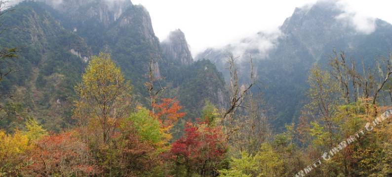 海螺沟金雪山假日酒店图片