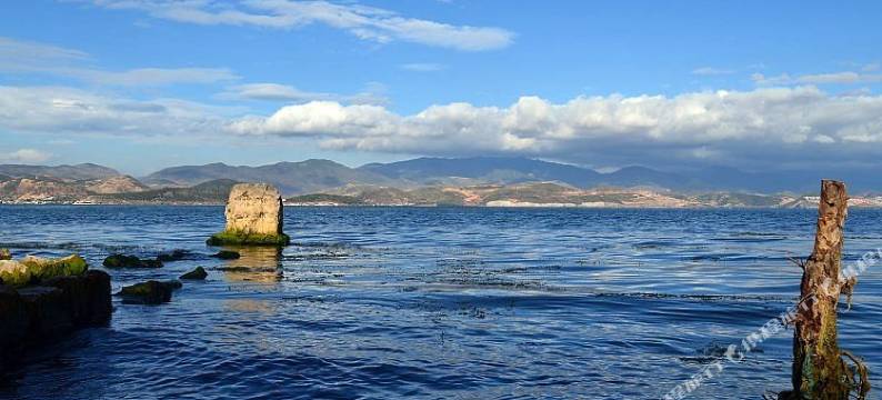 大花猫海景客栈(洱海龙龛码头店)图片
