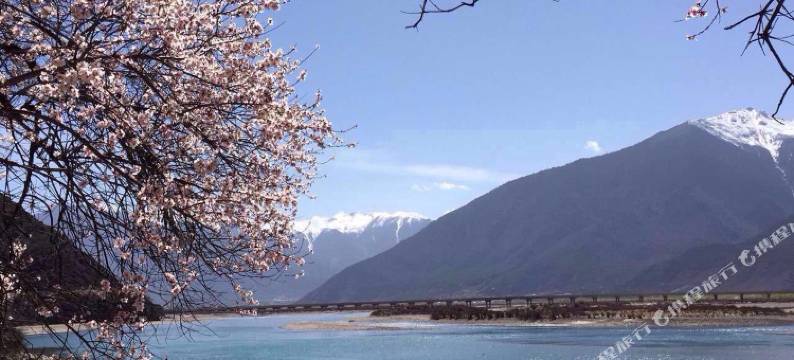 波密望江宾馆图片