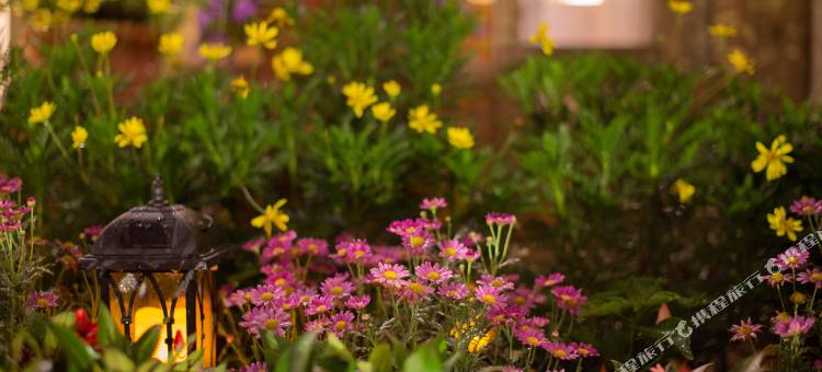 听花堂私人花园客栈(丽江蝶语店)图片