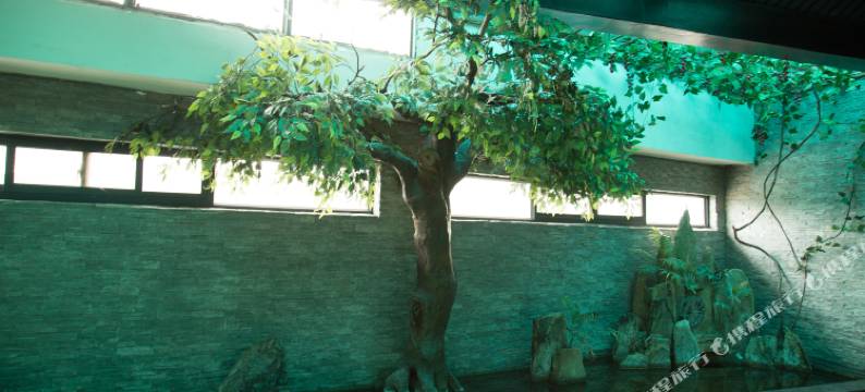 济源凯旋时尚酒店图片