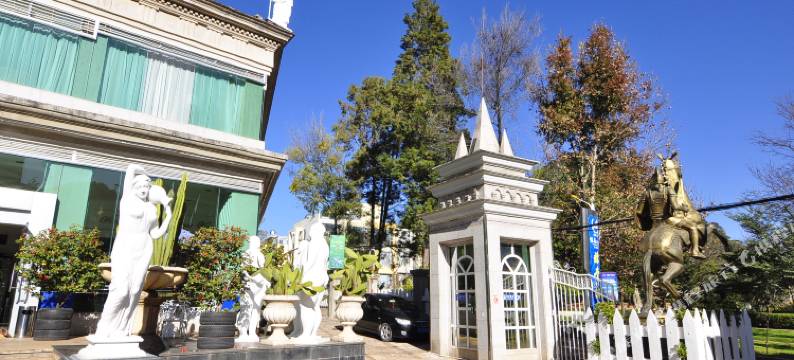 抚仙湖龙马阳光酒店(禄充风景区店)图片