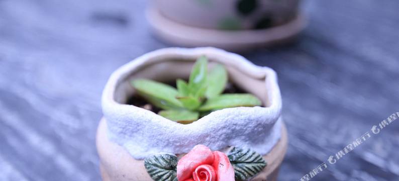 乌镇锦夜小宅图片