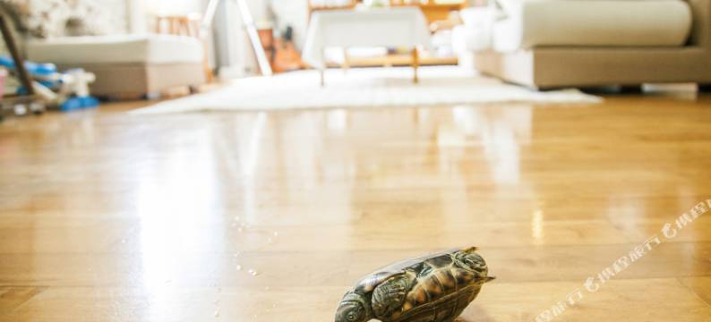 珠海晚安青年旅舍图片