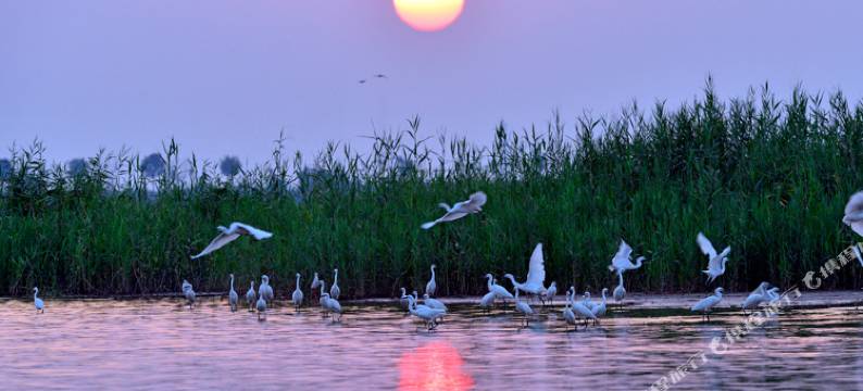 衡水绳头小筑图片