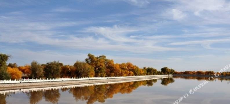 额济纳旗龙顺源大酒店图片