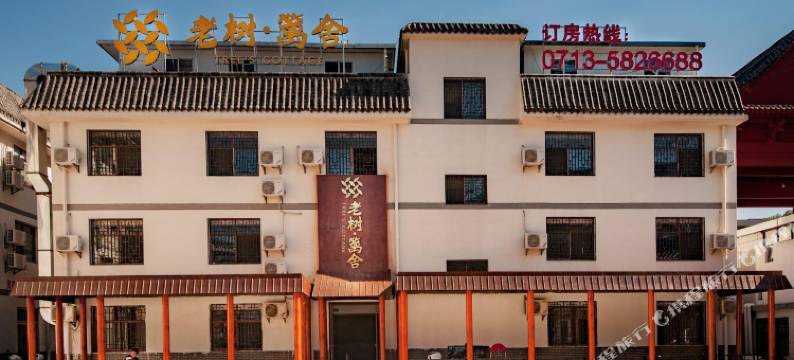 天堂寨老树·篱舍图片