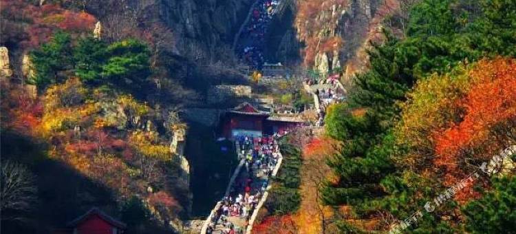 轻住酒店(泰山火车站红门店)图片