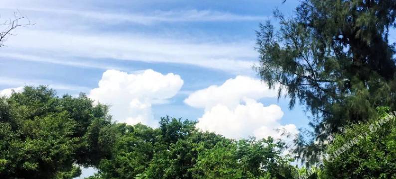 涠洲岛朴予·观季酒店图片