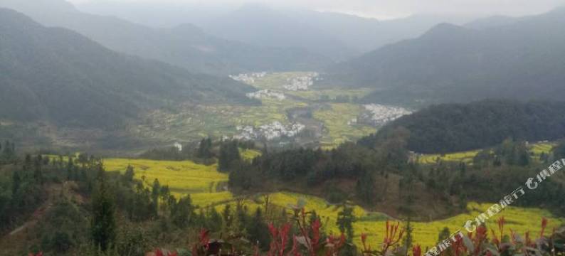 婺源江岭花海梯田客栈(江岭景区店)图片