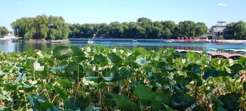 北京兰英民宿图片