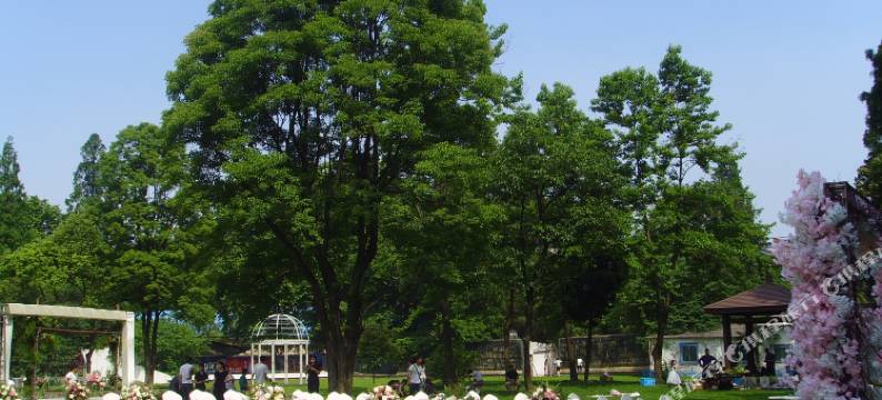 黄石海观山大酒店(摩尔城购物中心店)图片