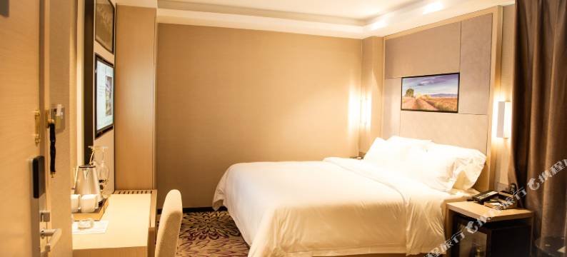 麗枫酒店(深圳龙岗坂田地铁站店)图片