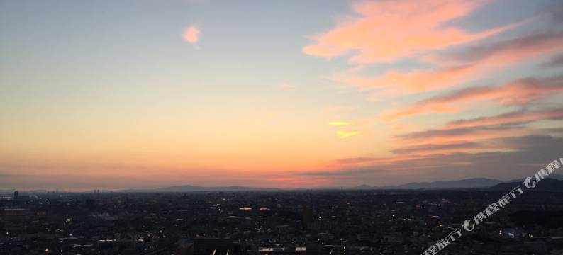 泉佐野中心酒店(Izumisano Center Hotel Kansai International Airport)图片