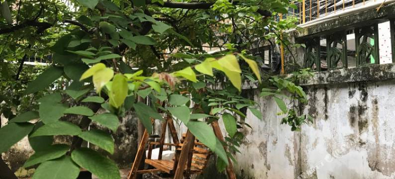 汕头厝边六号青年旅舍图片