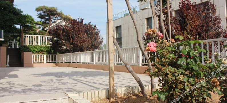 威海凡舍咖啡民宿(国际海水浴场火炬八街店)图片