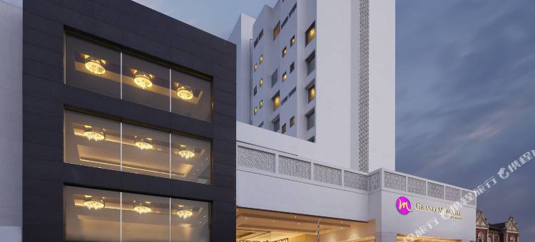 瓦多达拉苏亚宫殿美爵酒店(Grand Mercure Vadodara Surya Palace)图片