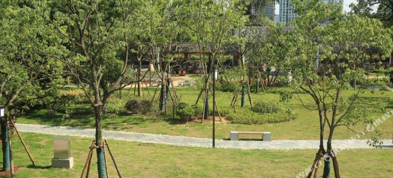 黄山夜泊老街客栈(屯溪老街景区店)图片