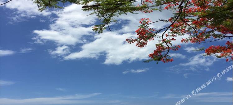 酒神之家酒店(Bacchus Home Resort)图片