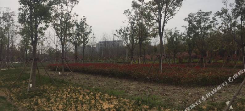 上海星语馨苑-栈(周川公路分店)图片