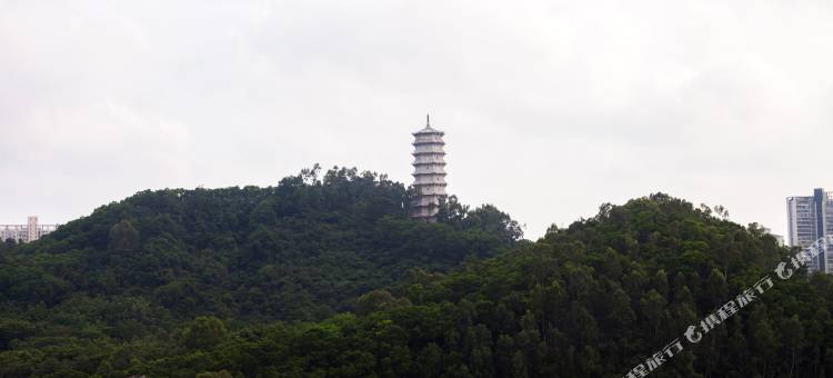 深圳春眠不觉晓公寓图片
