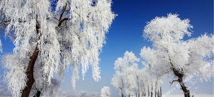 付家客栈(雾凇岛景区店)图片