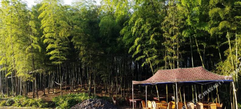 蜀南竹海三合酒家图片